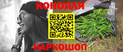 гашиш Кингисепп