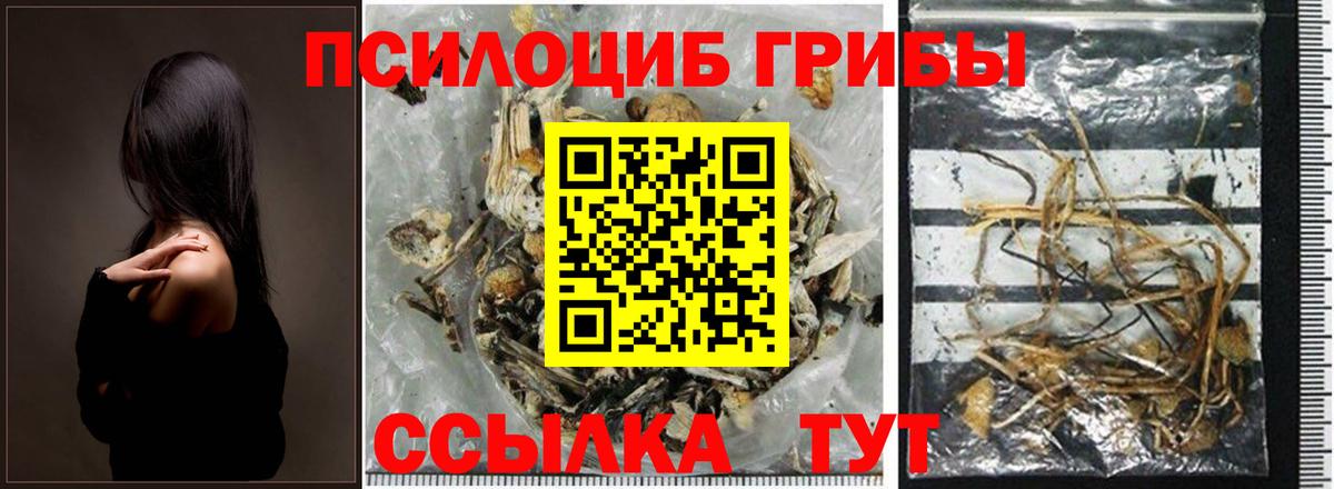 Галлюциногенные грибы GOLDEN TEACHER Ишим