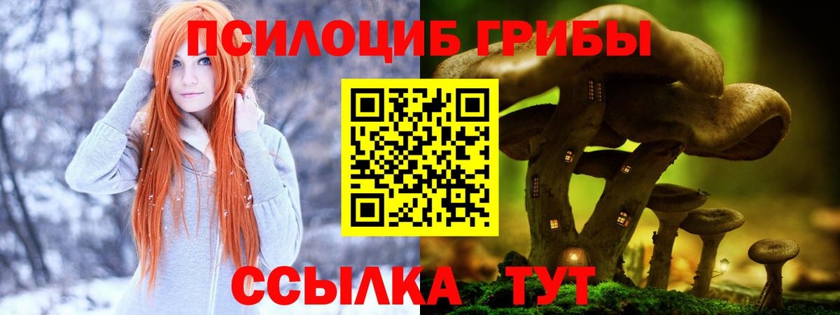 Псилоцибиновые грибы мицелий  Вход с VPN  Галлюциногенные грибы прущие грибы  Ишим 