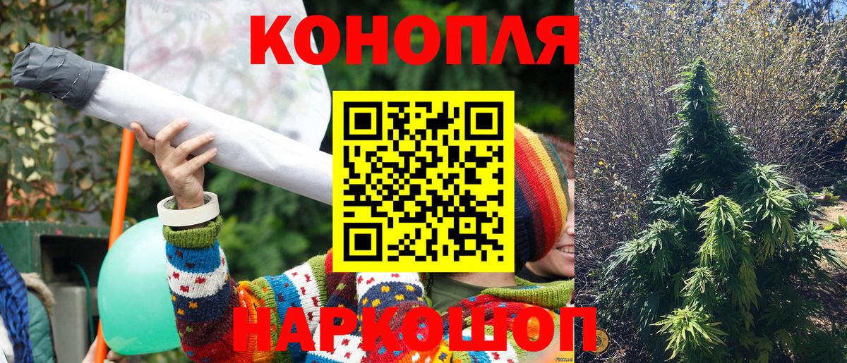 Ишим  Конопля VHQ  Бошки Шишки гибрид  Вход с VPN 